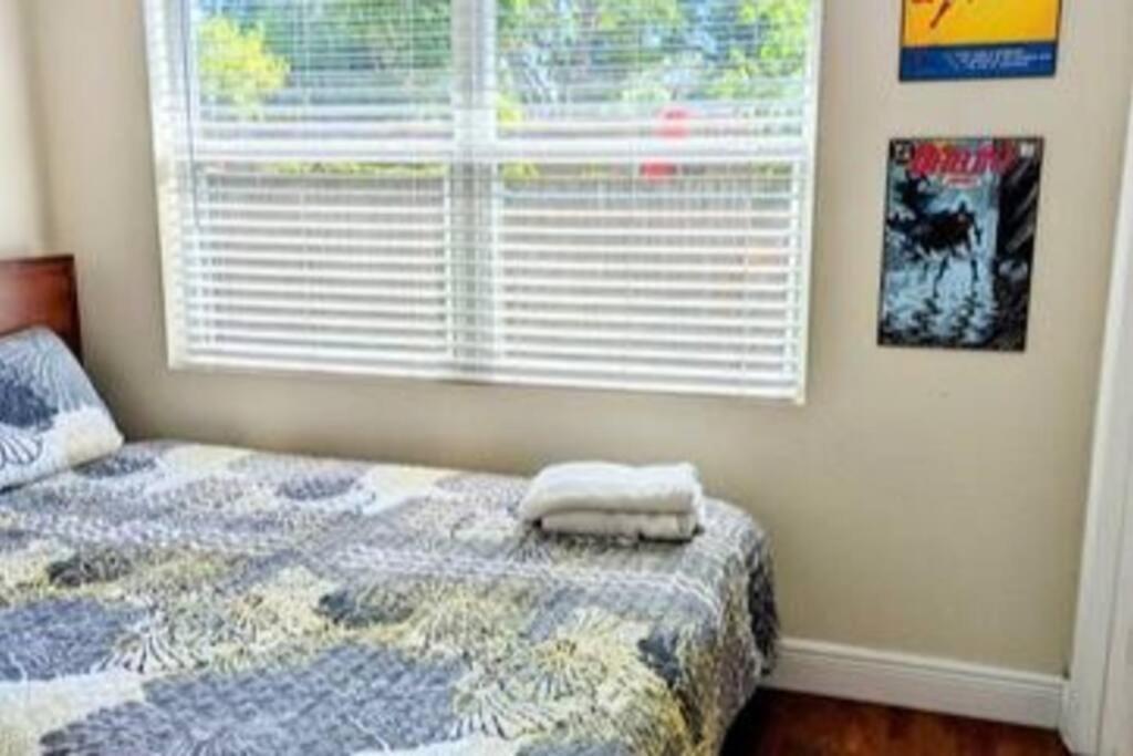Spacious House With Big Backyard In N. Hyde Park / Close To Downtown تامبا المظهر الخارجي الصورة