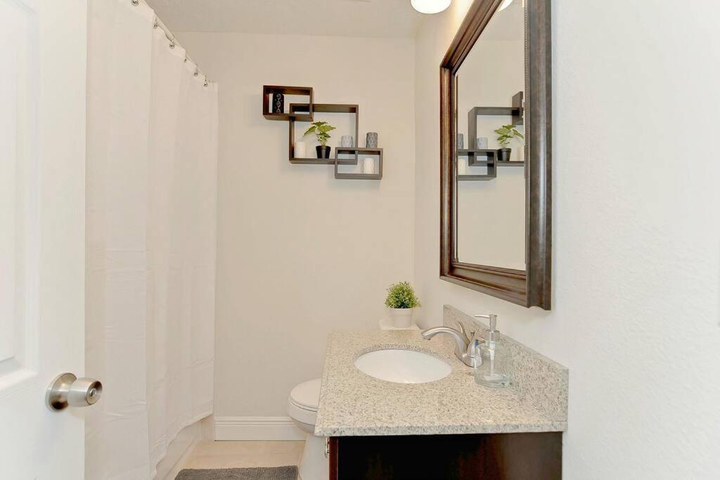 Spacious House With Big Backyard In N. Hyde Park / Close To Downtown تامبا المظهر الخارجي الصورة